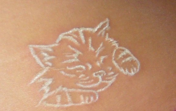 Фото, значение в магии татуировки " Кот. Кошка. Котенок. " - Страница 2 X_b02d040b